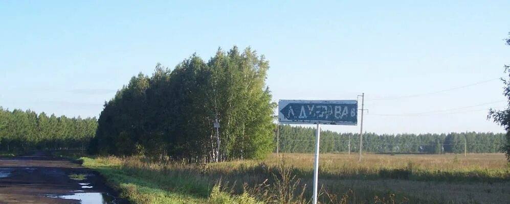 Погода троицкие росляи. Погода троицкие росляи. Погода троицкие росляи. Троицкие росляи тамбовская область. Погода троицкие росляи.