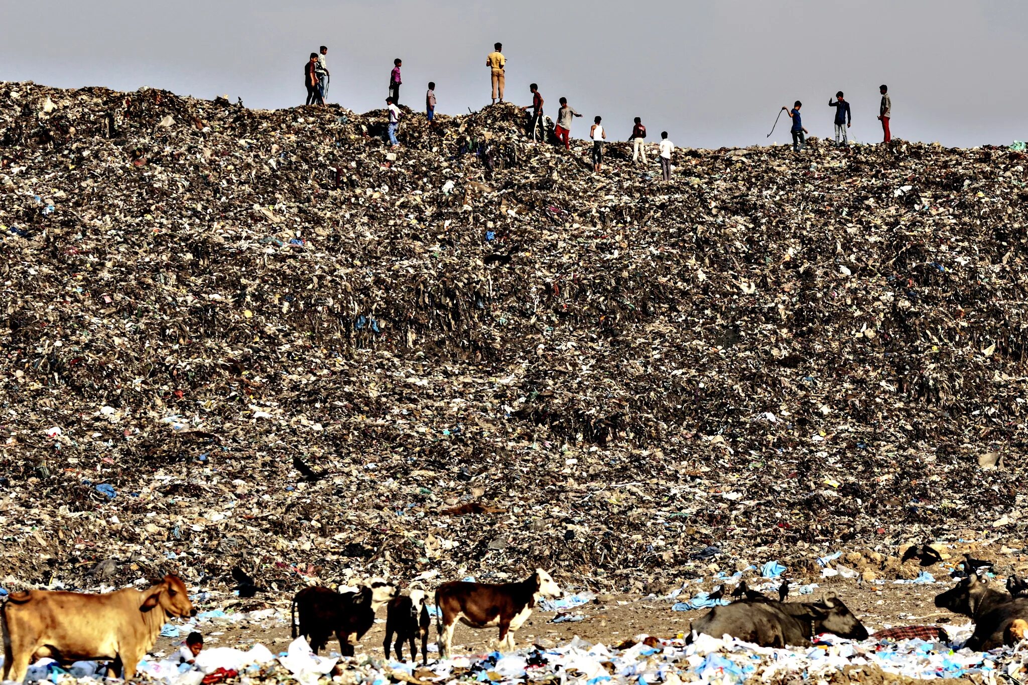 Свалка Deonar, Мумбаи, Индия. Самый большой мусорный полигон в мире. Свалка Deonar, Мумбаи, Индия (132 гектара).