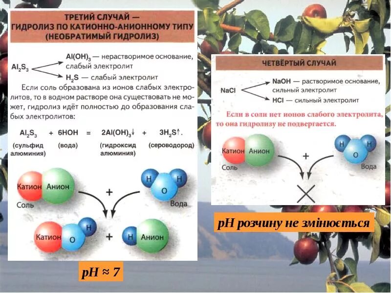 Растение гидролиз. Гидролиз солей. Гидролиз солей анионы и катионы. Гидролиз по аниону примеры. Гидролиз по катиону и аниону примеры.