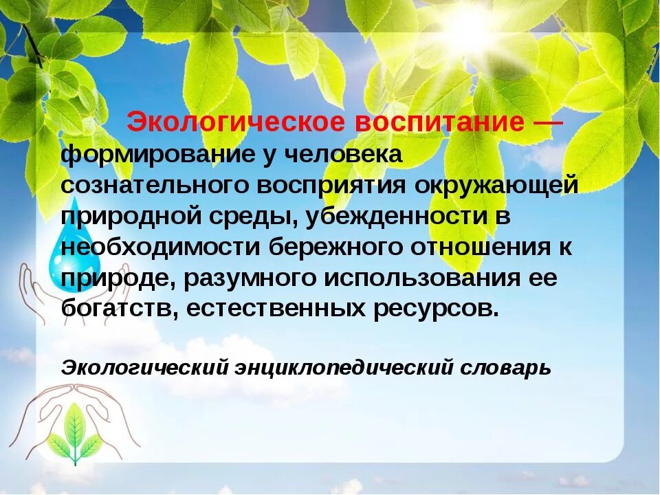 Экологические вопросы и развитие. Экологическое воспитание младших школьников. Экологические вопитание. Темы экологического воспитания в школе. Экологическое воспитание это в педагогике.