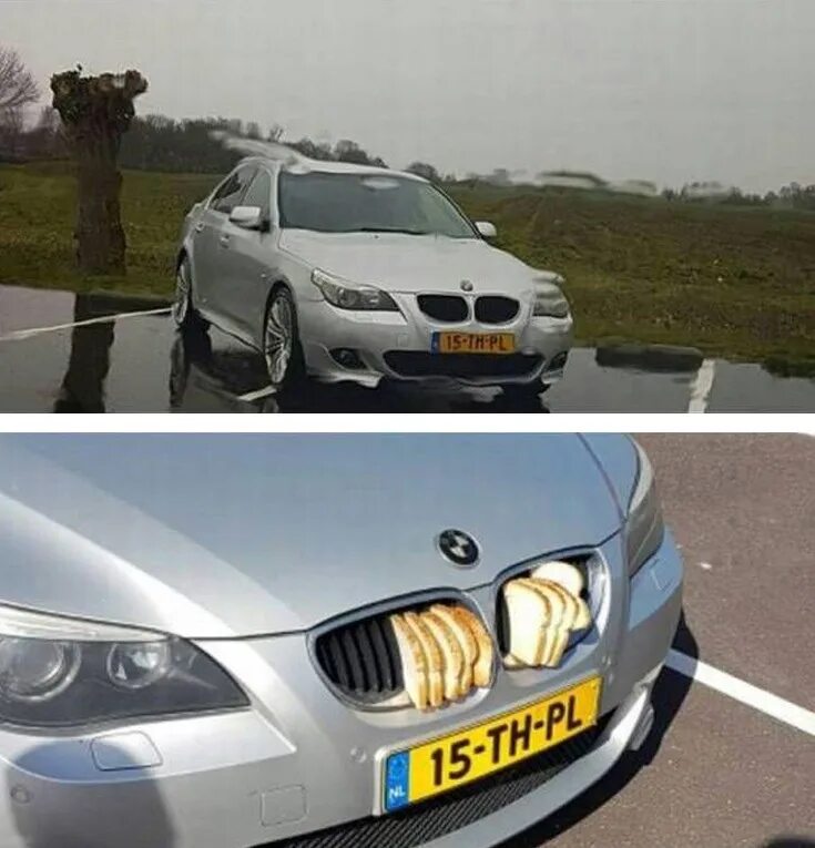Pin on Cat / Dog Selfie Car Funny looking cats, Cat selfie, Funny animal photos