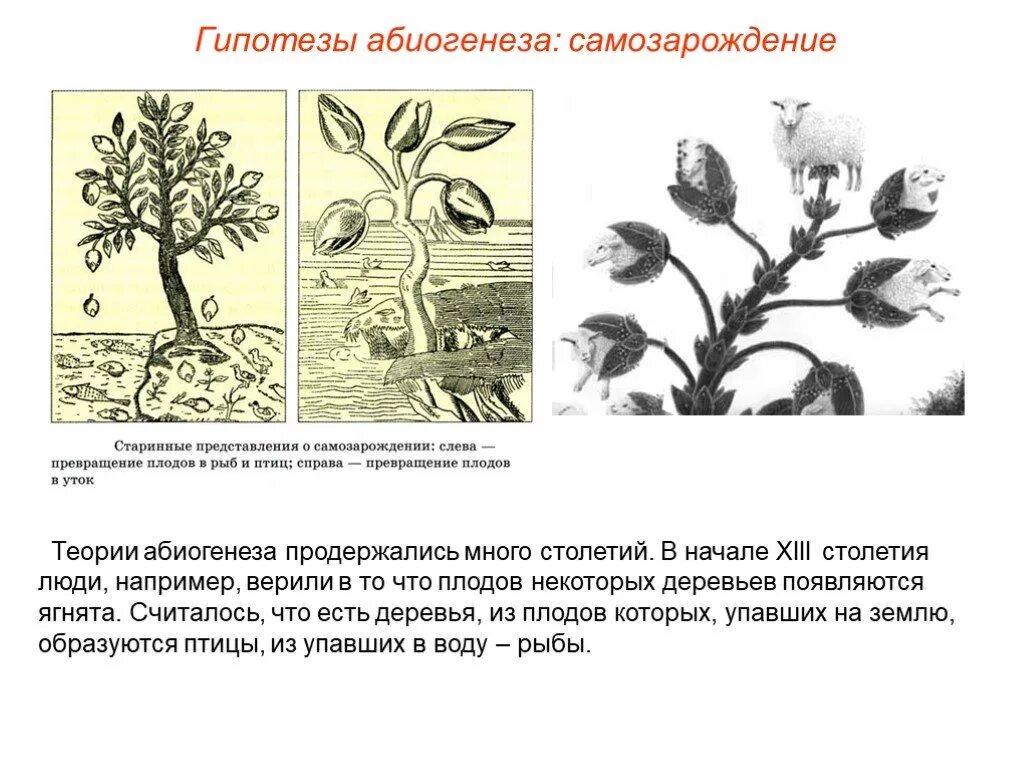 Гипотеза живое из неживого. Гипотеза самозарождения жизни абиогенеза. Абиогенез теория зарождения жизни. Теория самопроизвольного зарождения абиогенез. Биогенез и абиогенез.