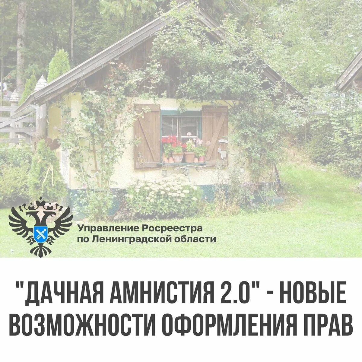 Дачная амнистия. Дачная амнистия 2.0. Дачная амнистия Росреестр. Дачная амнистия 2022. Кадастровая амнистия