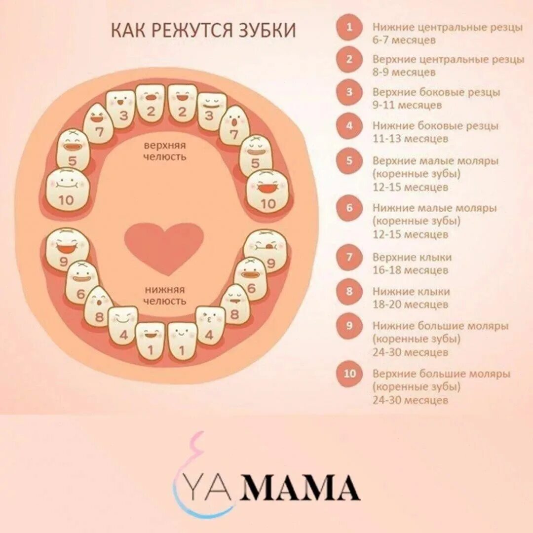 https://avatars.mds.yandex.net/i?id=494bee1dc2351c3b871da7ae356e6f37_l-5220930-i