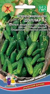 Уральский корнишон