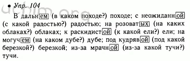 Русский язык 5 класс ладыженская.