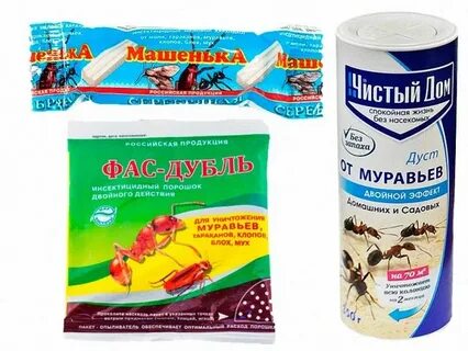 Как избавиться от рыжих муравьев