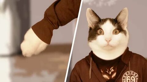 Человек кошка видео