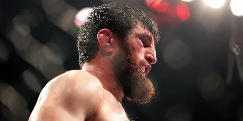 Во сколько бой магомед анкалаев джонни уокер