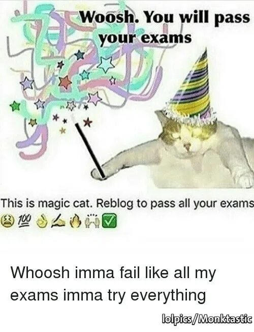 If i had passed the exam