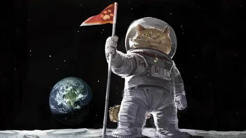 День космонавтики коты