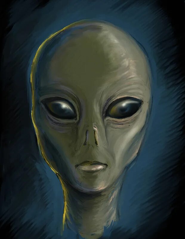 Встреча с пришельцами. Встреча с пришельцами. Смешной инопланетянин. Bakhtin инопланетяне. Инопланетяне фото прикольные.