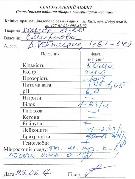 Анализы нужно сдавать при цистите. Цистит ОАМ показатели. Анализ мочи при онкологии мочевого пузыря. Общий анализ мочи при цистите. Анализ мочи при цистите показатели.