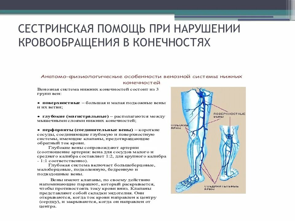 Помощь при тромбозе. Сестринский процесс варикозной болезни вен нижних конечностей. Помощь при нарушении кровообращения. Нарушение артериального кровообращения нижних конечностей. Сестринский процесс при нарушении кровообращения.