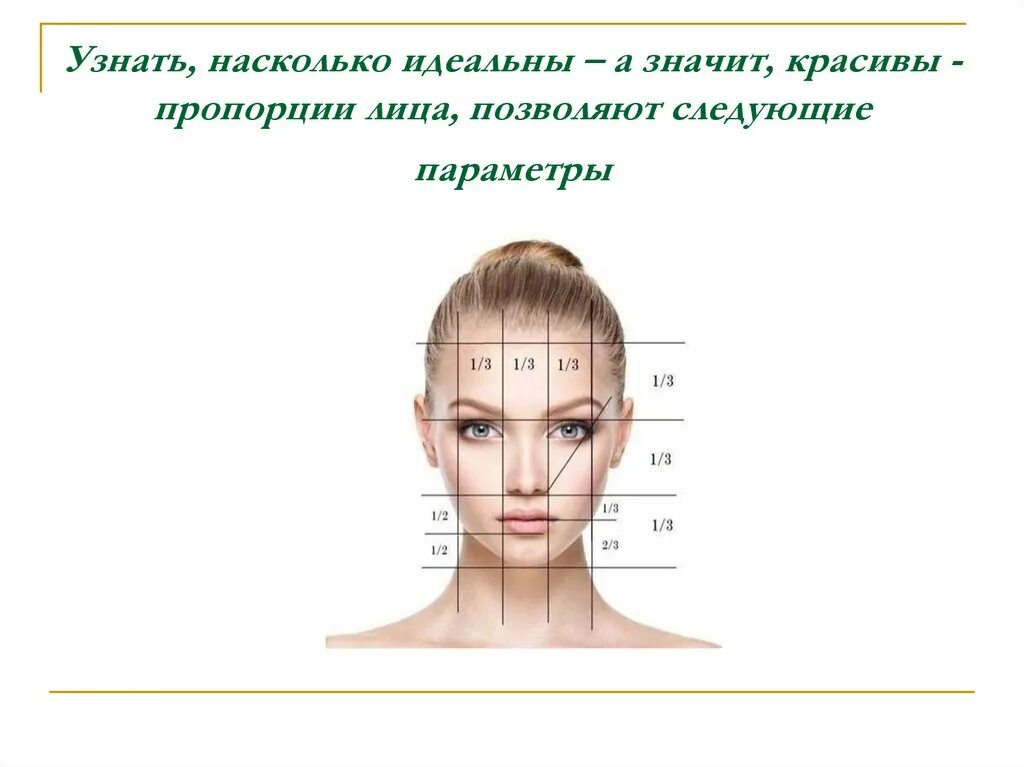 Красивые пропорции лица. Пропорции женского лица. Золотое сечение женского лица. Золотое сечение пропорции лица.