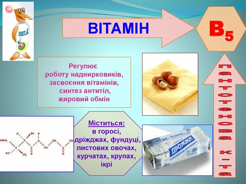 Синтез витамина б. Синтез витаминов. Жиры необходимы для усвоения витаминов:. Синтез антител витамин. Витамин который расщепляет жир.