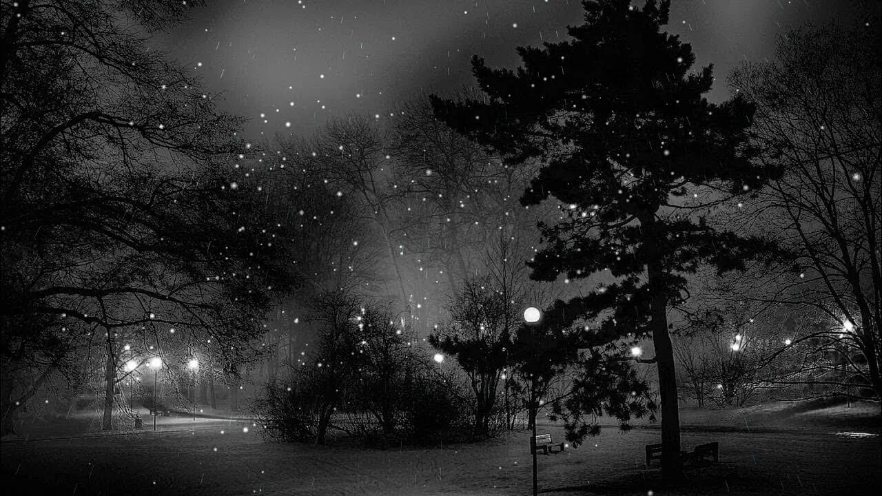 Натюрморт репинской академии художеств. Черные этюды. Черные этюды. Черные этюды. Ночные этюды черный фон.