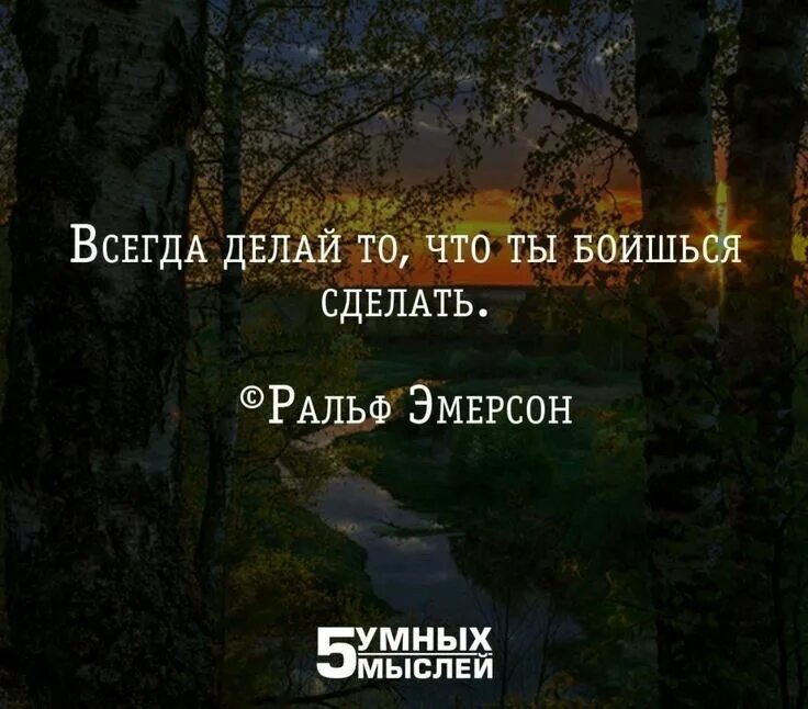 Сделай то чего боишься и обретешь свободу. 5 умных мыслей. всегда делай то чего боишься. всегда делай то чего боишься сделать. всегда делай то, что ты боишься сделать эмерсон.