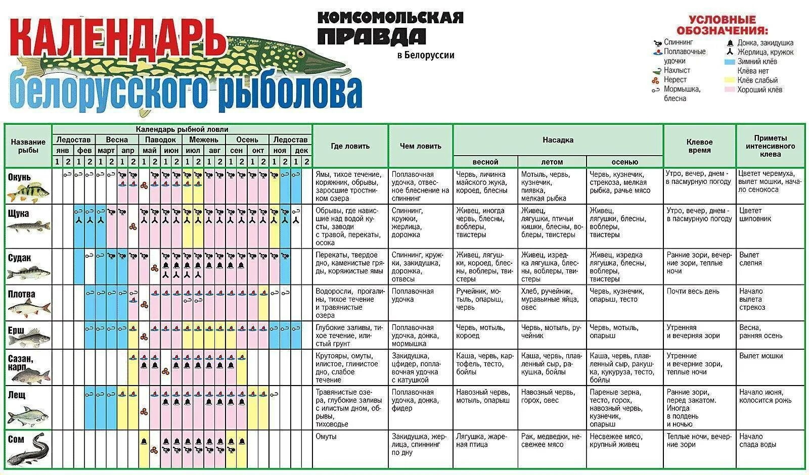 Когда начинает клевать карась после зимы. Давление для рыбы таблица. Таблица атмосферного давления для ловли рыбы. Давление для ловли рыбы. Давление для рыбалки на щуку.