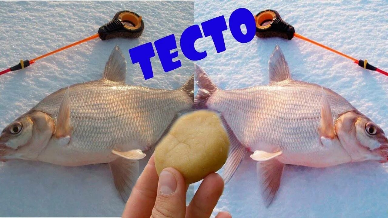 Ловит тест. Насадка для плотвы. зимняя насадка для плотвы. тесто для зимней рыбалки. насадка для рыбалки на плотву зимой.