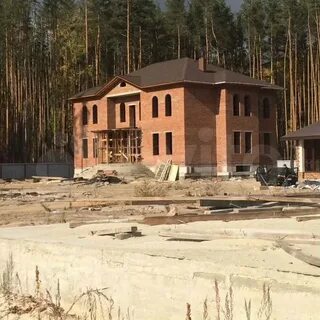 Пригородный лес тамбов