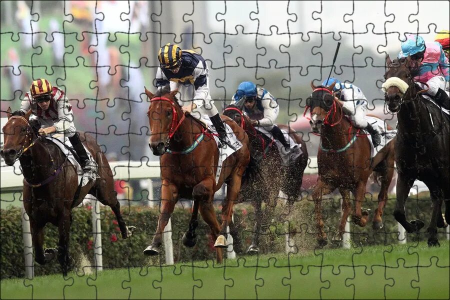 Ипподром британии. Horse racing national. Grand national horse race великобритании. Horse racing national. Гонки на лошадях в великобритании.