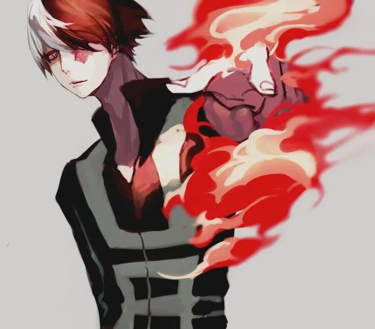 Todoroki reader