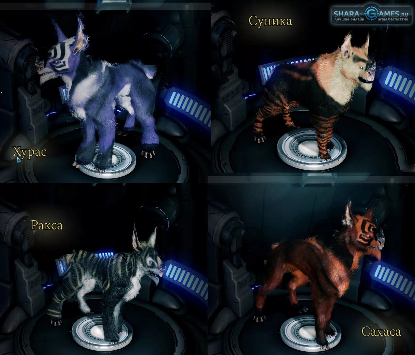 Кубрау warframe. Сахаса кубрау. варфрейм питомцы. кубрау варфрейм. хурас кубрау варфрейм.