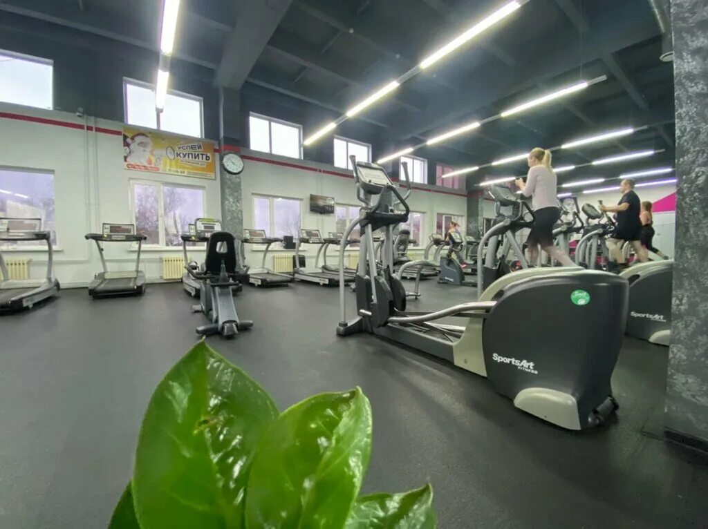 Muravey, fitness club, Vladimir, Dvoryanskaya ulitsa, 27А - Yandex Maps