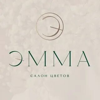 Салон губкин