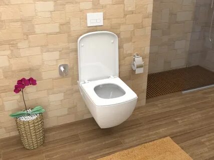 Унитаз инсталляция с душем