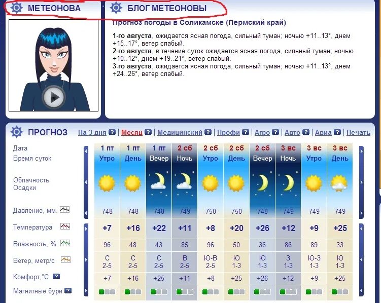 Погода Пермь. МЕТЕОНОВА. Прогноз погоды в городе Пермь. МЕТЕОНОВА Пермь. Погода город пермь 3 дня