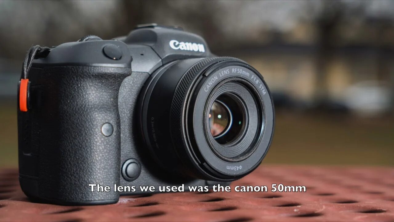 Canon rf 50mm 1.8 примеры фото Turner Halt Esel canon 50mm 1.2 sample images Loch Glückwunsch Apotheker