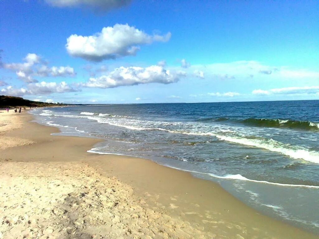 Температура воды в балтийском море зеленоградск. Балтийское море Калининград. Пляж Балтийского моря в Калининграде. Калининград море. Берег Балтийского моря Зеленоградск.