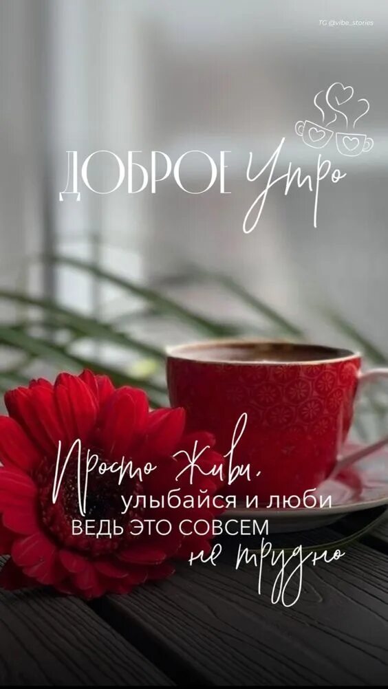 Доброе утро 5 октября 2024. Доброе утро 5 октября 2024