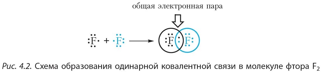 Схема образования ковалентной связи в молекуле фтора. Схема образование молекул фтора f+f. Ковалентная связь f2 схема. Схема образования ковалентной связи f2. Определить химическую связь f2