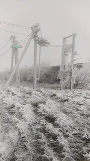 Оставь 16