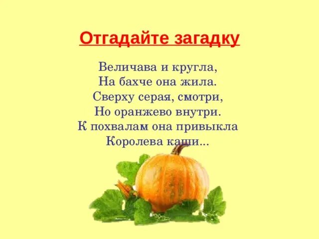 Загадка про тыкву для детей 3-4 лет. Загадка про тыкву для детей 6-7 лет. Загадка с ответом тыква. Загадка про тыкву. Текст про тыкву