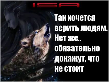 Позволь тебе не верить