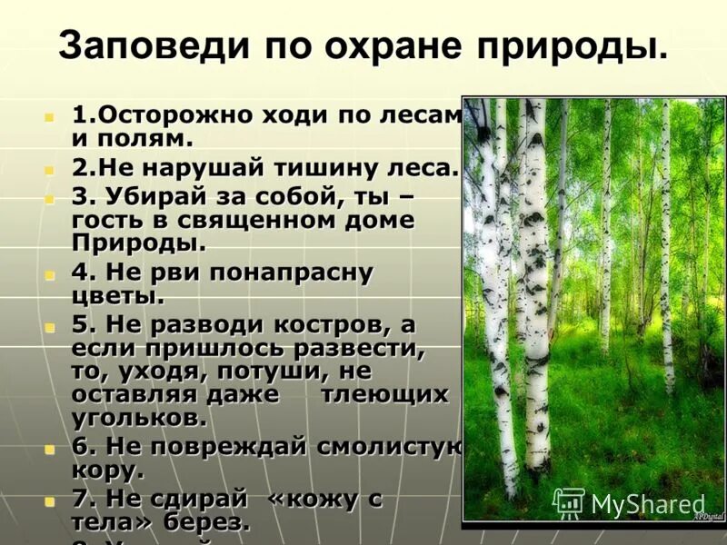 Предложение о защите природы. Сообщение об охране природы. Материал об охране природы. Охрана природы презентация. Доклад по охране природы.