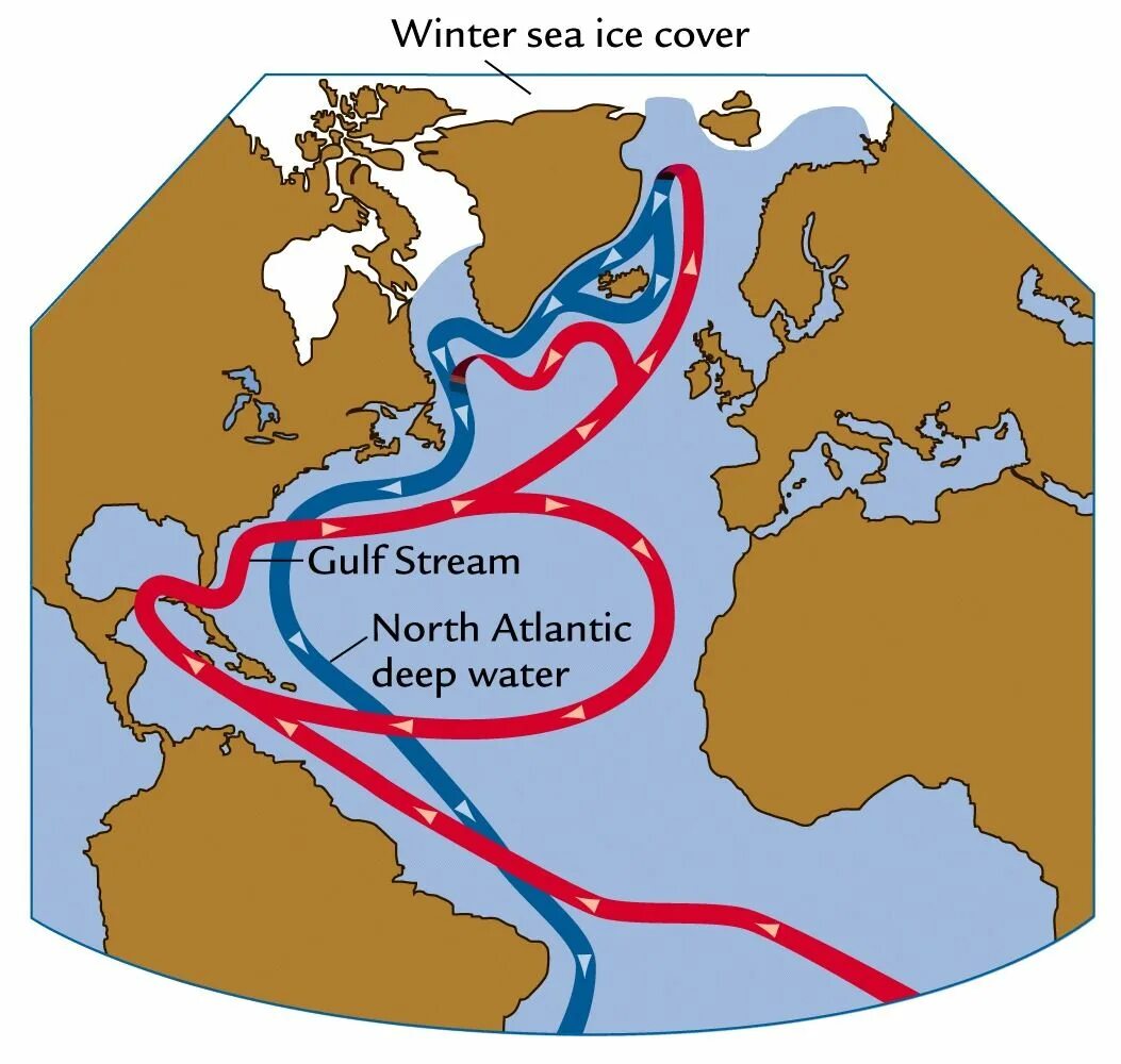 Теплое течение европы. Гольфстрим течение. Тёплое течение Гольфстрим. Гольфстрим и Лабрадорское течение.