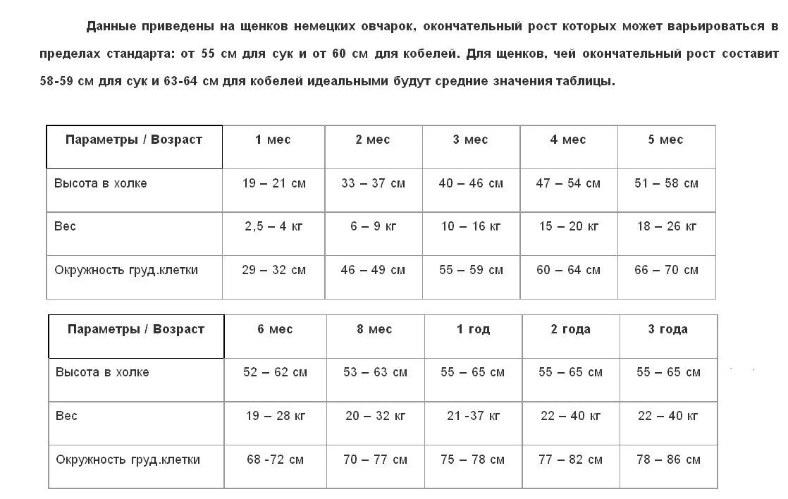 Сколько весит овчарка в год. Таблица роста и веса щенка немецкой овчарки по месяцам. Вес щенка немецкой овчарки по месяцам таблица. Параметры щенка немецкой овчарки по месяцам таблица. Вес немецкой овчарки по месяцам таблица кобель.