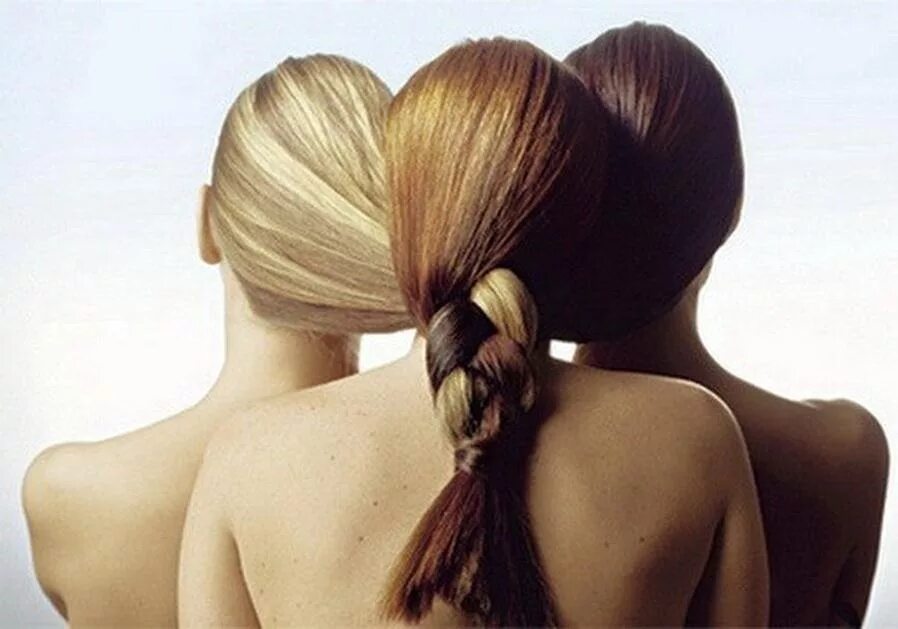 2 блондинки и брюнетки. Блондинка брюнетка рыжая. Две девушки волосы. Блондинка брюнетка и шатенка. Разные волосы.