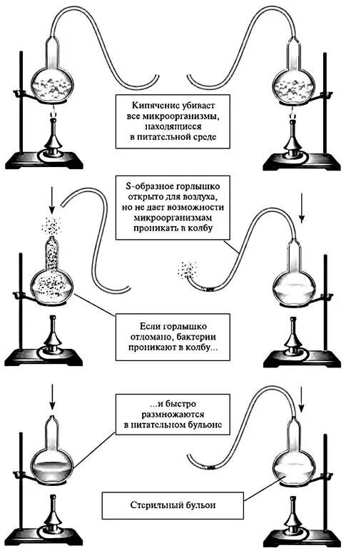 Опыт Луи Пастера. Луи Пастер опыт самозарождения. Эксперимент Луи Пастера с колбой. Пастер эксперимент самозарождение.