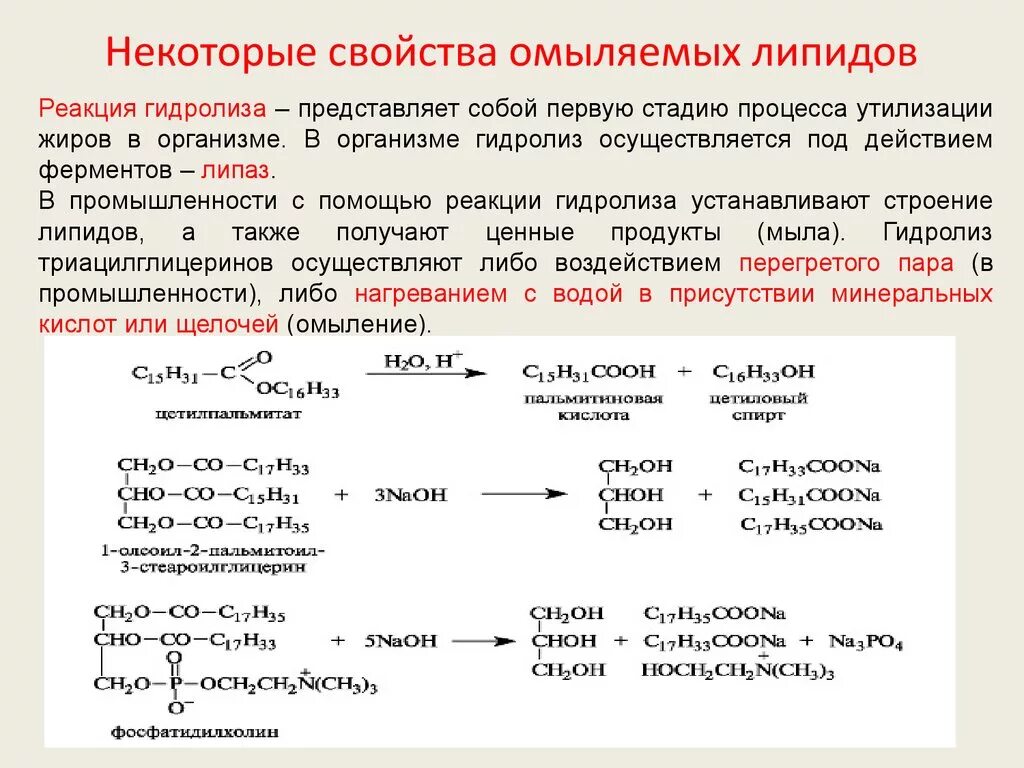 Свойства жиров гидролиз. Качественные реакции на липиды. Гидролиз омыляемых липидов. Ферментативный гидролиз липидов. Реакции присоединения липидов.