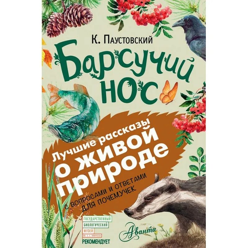 Произведения паустовского к г рассказа барсучий нос. Паустовский книг для детей барсучий книга. Книжка Паустовский барсучий нос. Паустовский барсучий нос обложка.