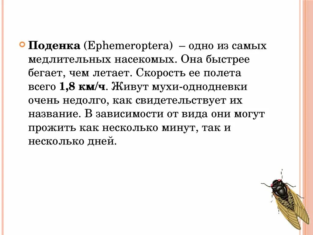 Скорость полета мухи. Скорость мухи км/ч. Скорость мухи м/с. Скорость полета комнатной мухи. Скорость мухи составляет