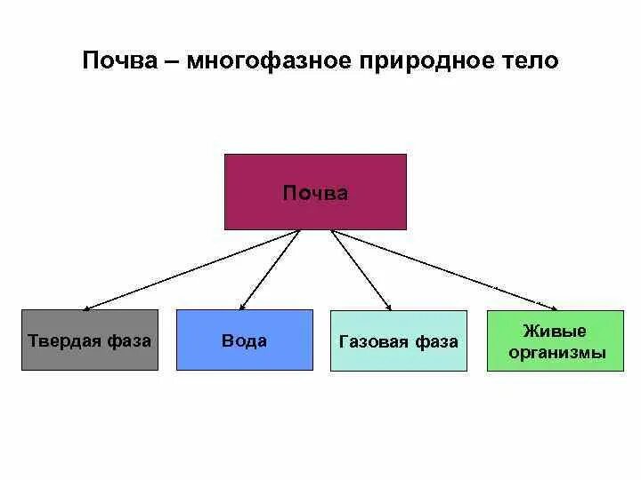 Понятие о почвоведении. Понятие о почвоведении