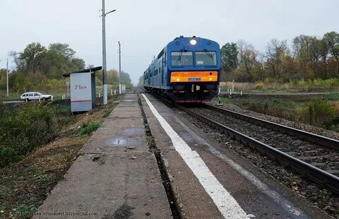 Льгов орел