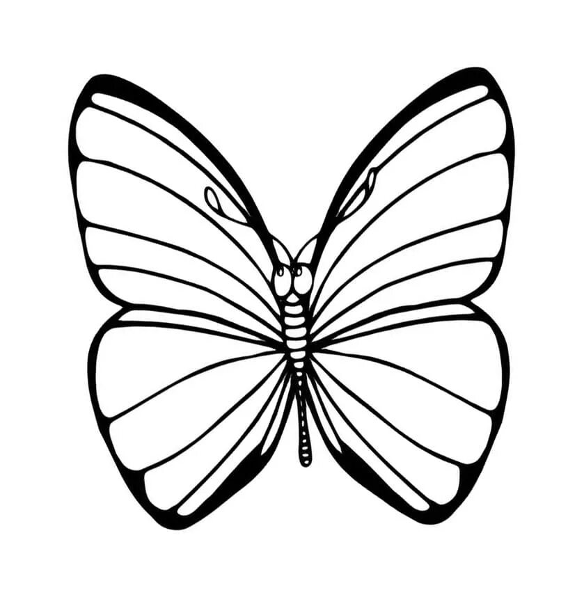 Раскраска "бабочки". Бабочка раскраска для детей. Бабочка раскраска для малышей. Бабочка картинка для детей раскраска.